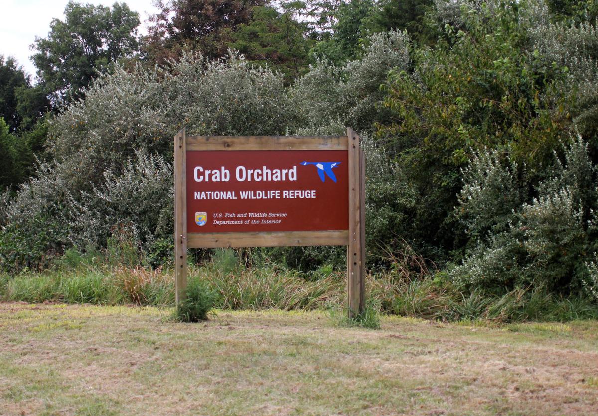 Invasive species being replaced with native grasses at Crab Orchard