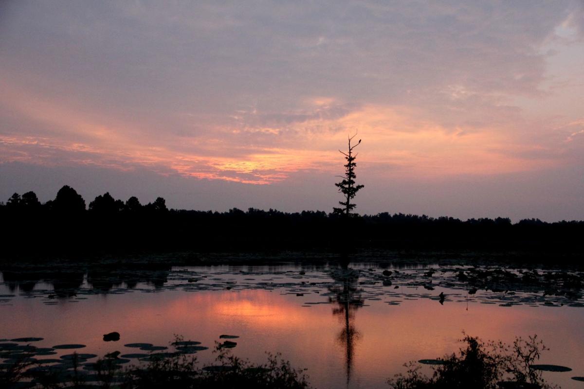 The Slow Decline Of Illinois State Parks Environment