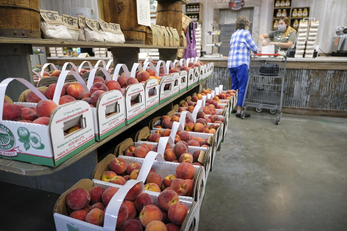 Southern Illinois peach crop is 'huge,' says Rendleman Orchards Local