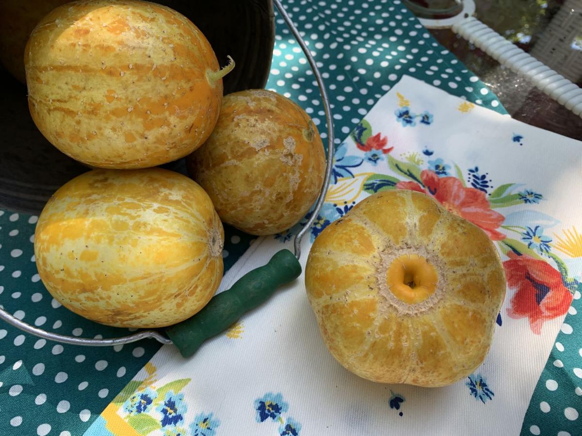 Lemon cuc whole.jpg