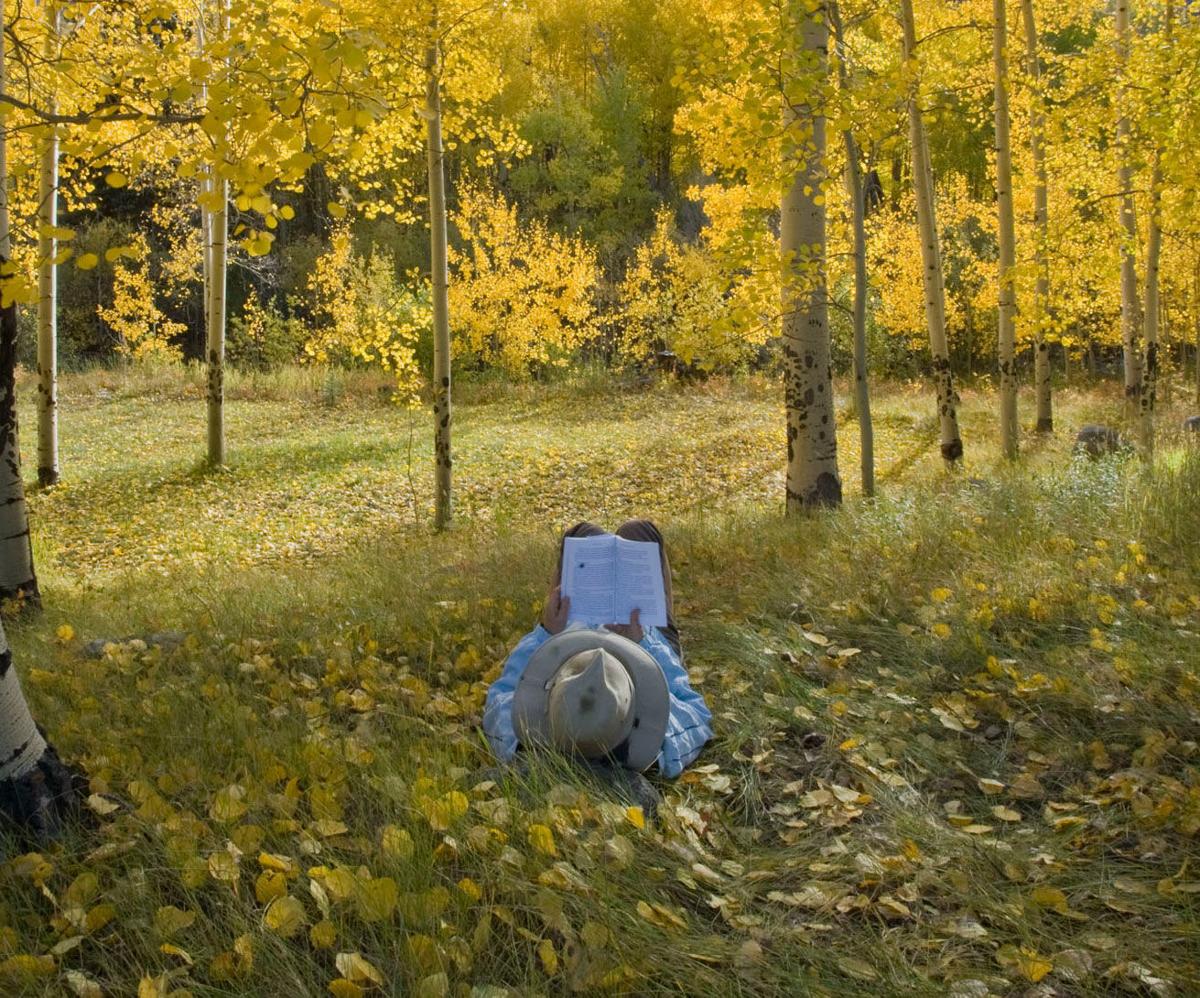 Fall color
