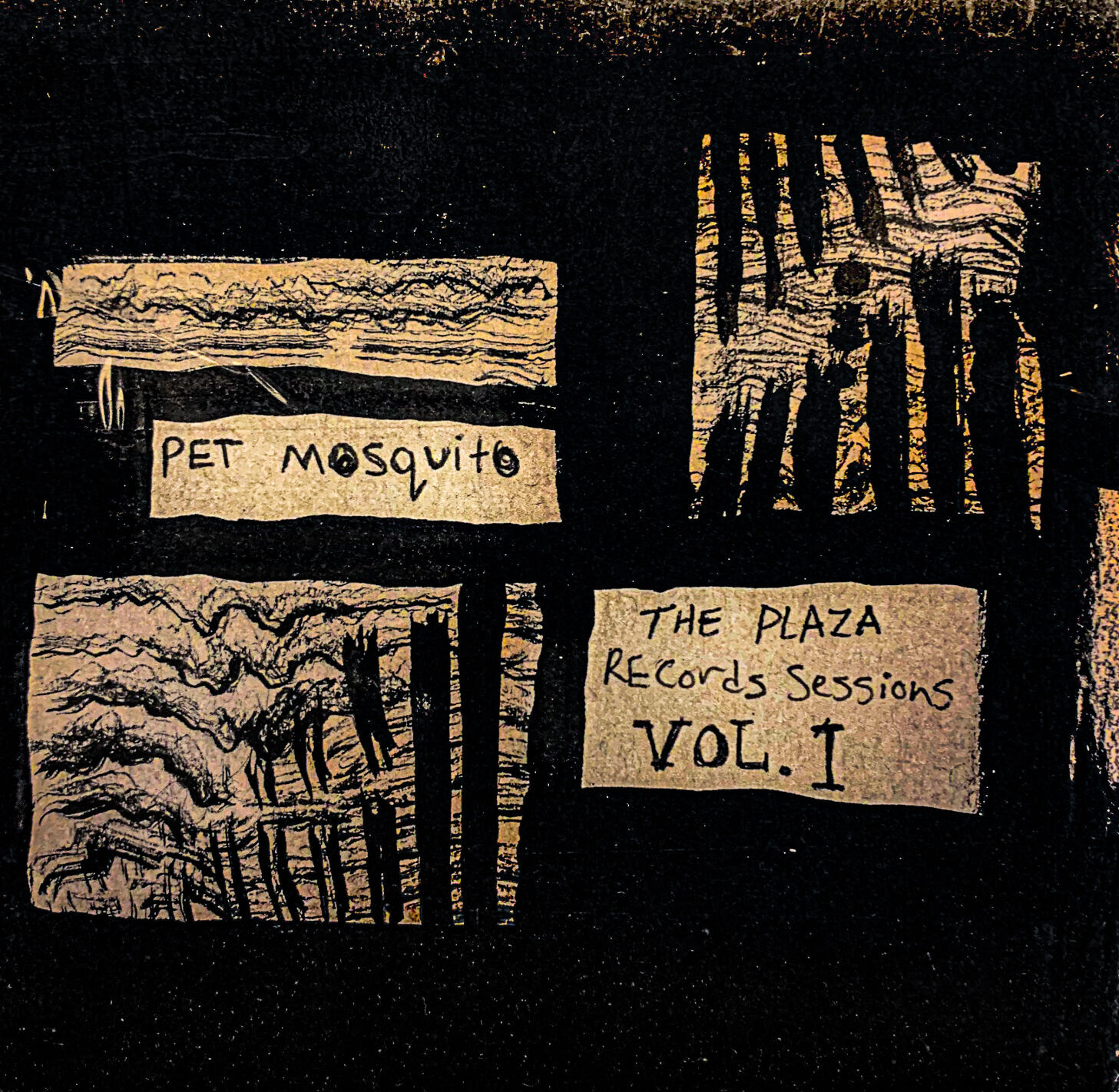 Music Historicity | Pet Mosquito to drop second release