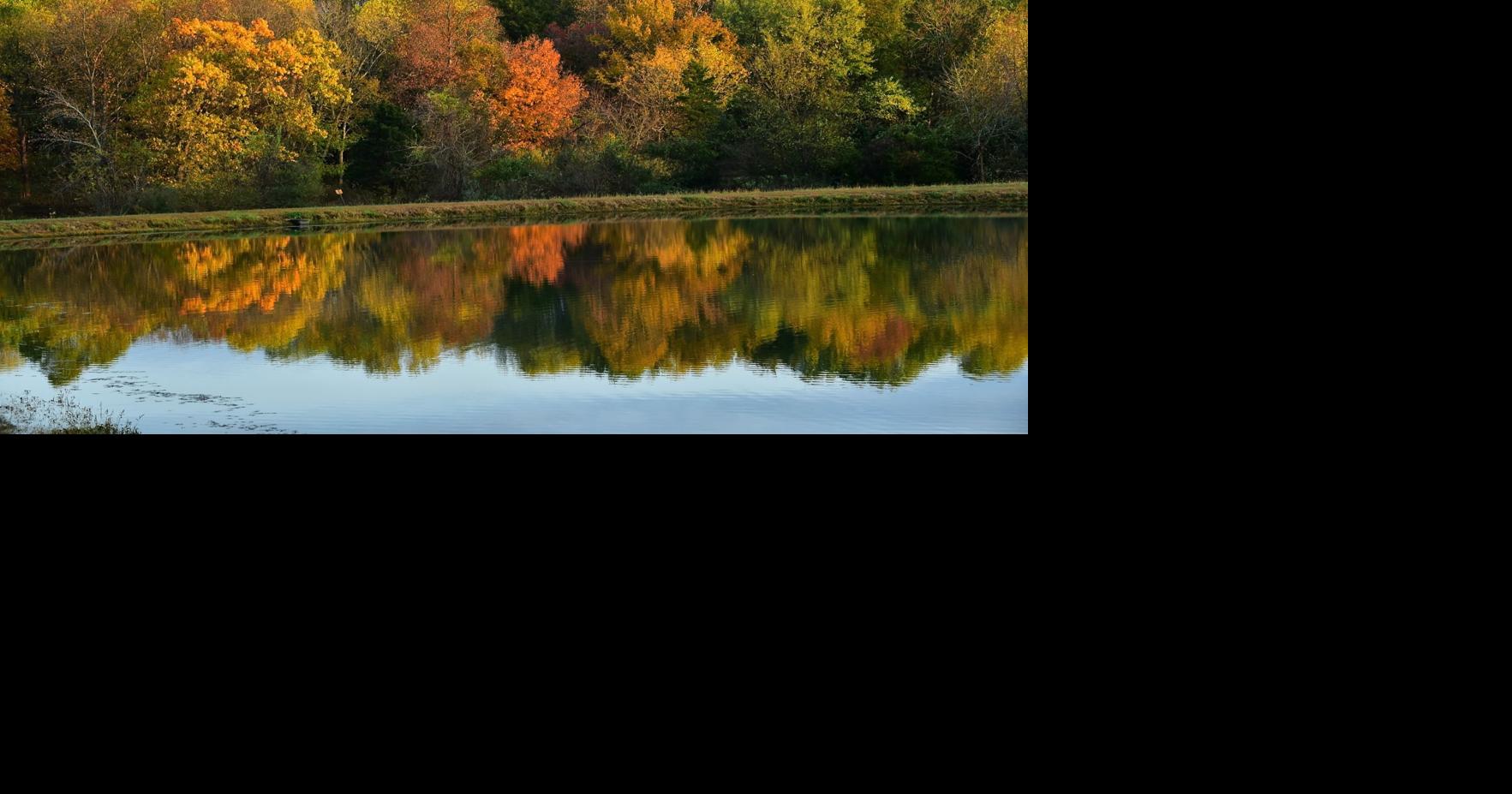 Photos: Southern Illinois explodes with fall color | Local News ...