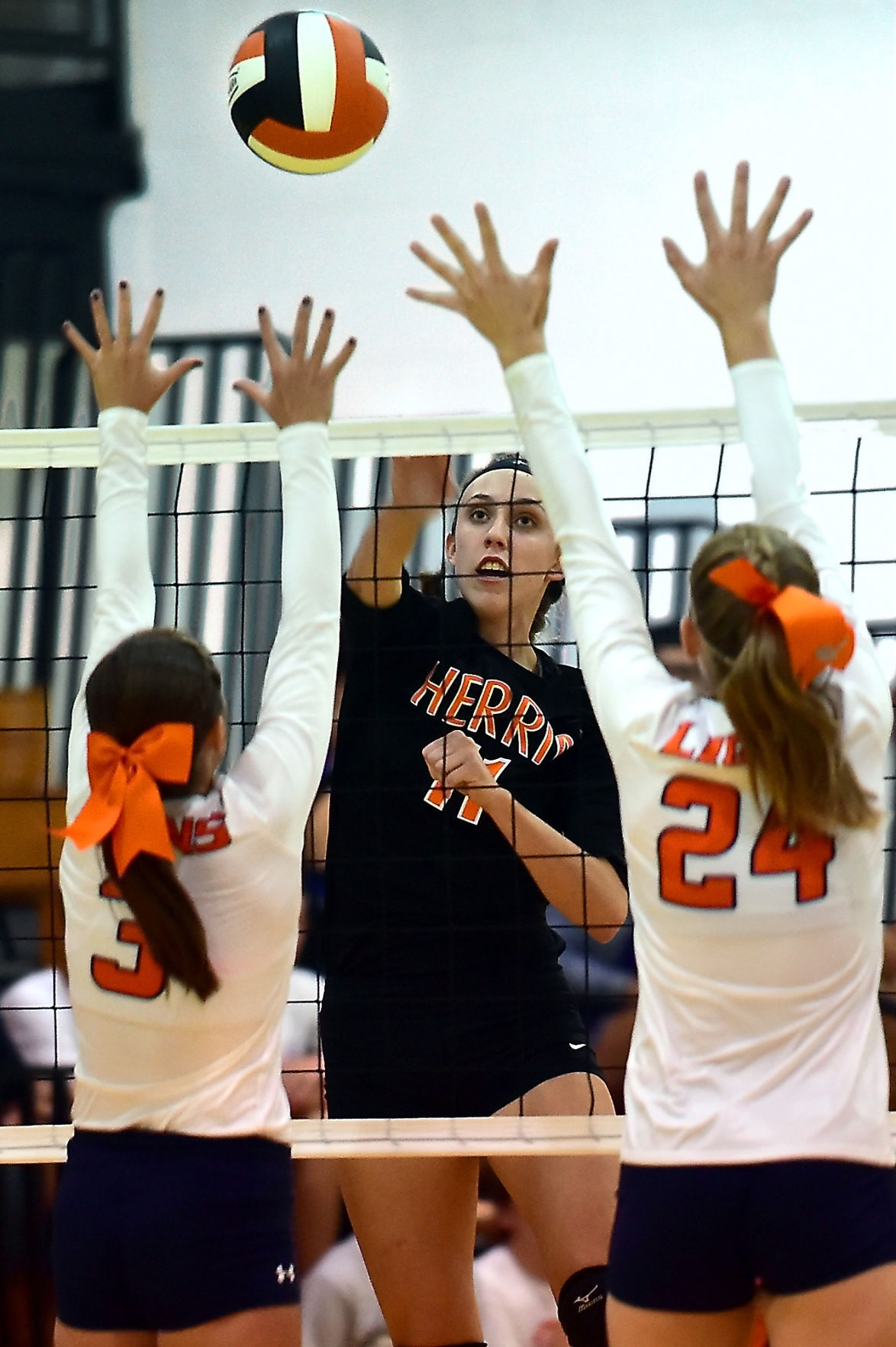 Photos Herrin Volleyball Defeats Carterville Photo Galleries