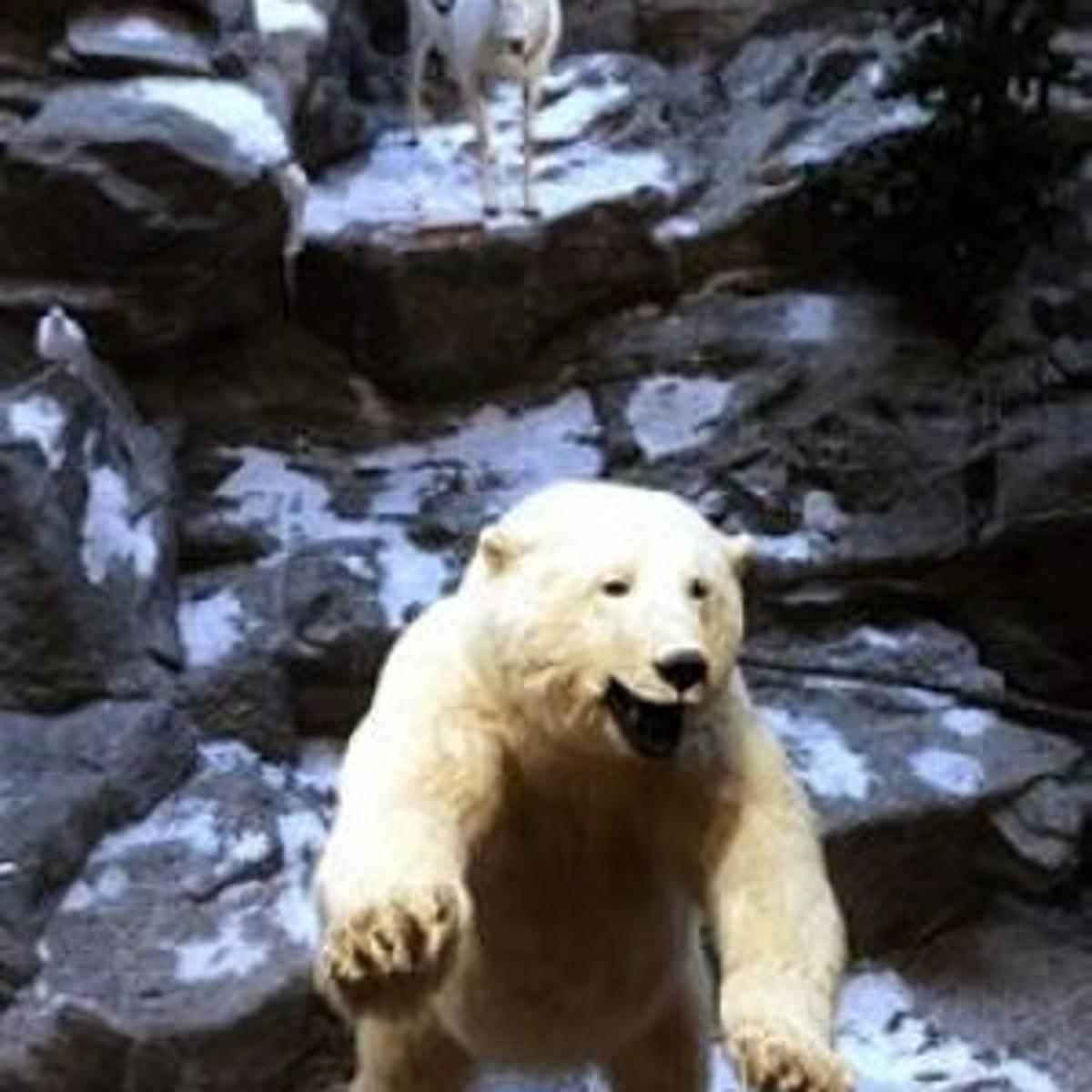 New England Gets 1st Cabela S Travel Thesouthern Com