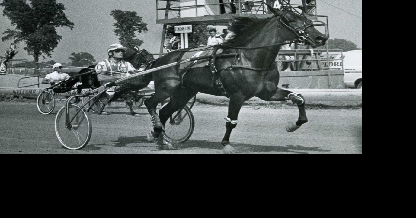 Photos: Harness racing in Southern Illinois | History | thesouthern.com