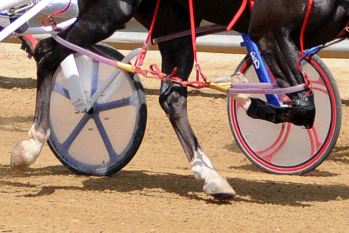 Going to the Du Quoin State Fair? Don't count harness racing out