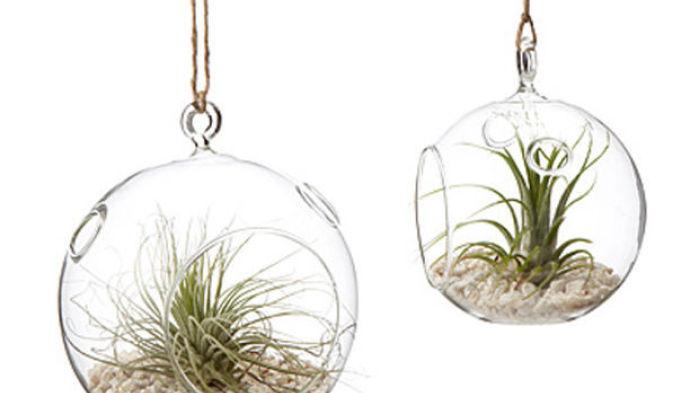 Try a DIY hanging garden | Home & Garden | thesouthern.com