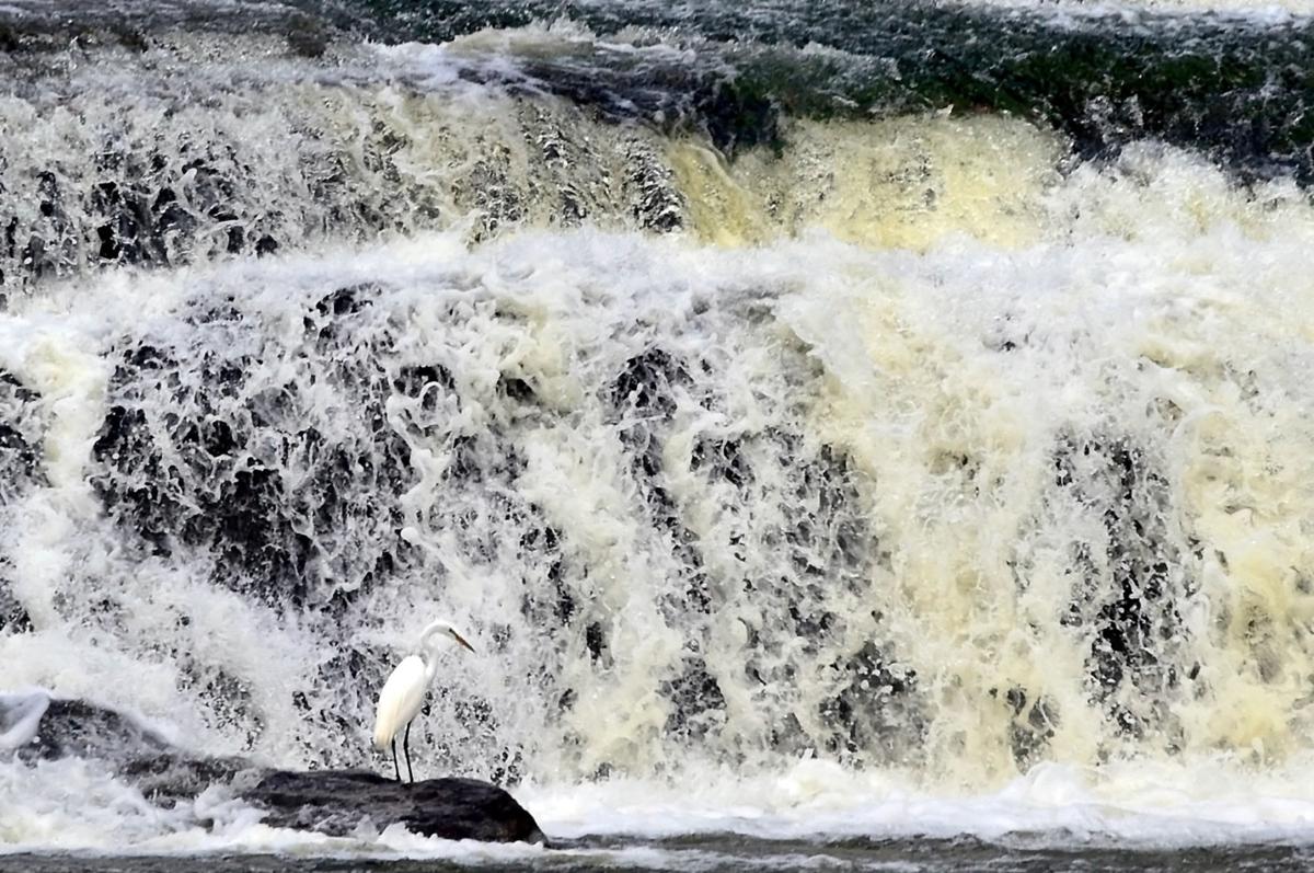 The Southern Exposure Exploring the Kinkaid Lake spillway The