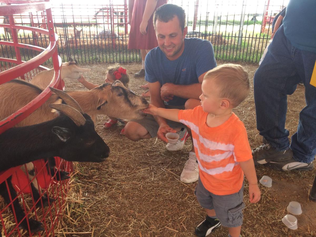 Du Quoin State Fair Petting Zoo