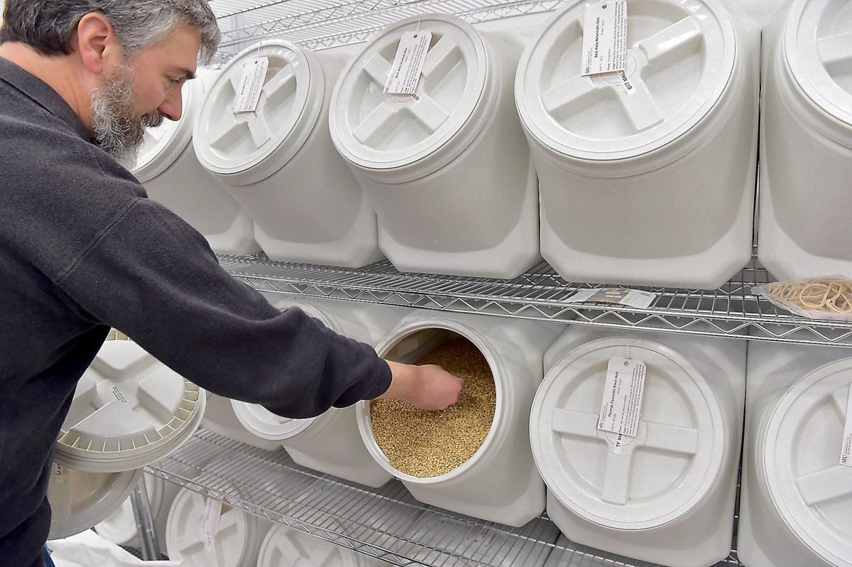Cheers to Beer Making its mark SIU's Fermentation Science Institute