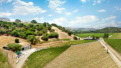 Is the future of wine organic? One Napa Valley winery thinks so.