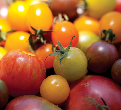 0925 TASTE cherry tomatoes