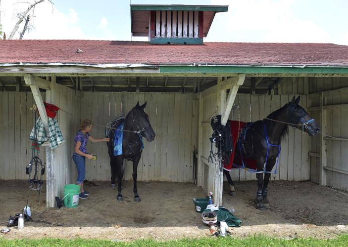 Du Quoin State Fair Harness Racing Fancy Creek Jolene