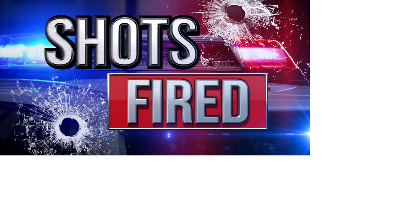 Carbondale PD: One with warrant in custody after shots fired incident ...