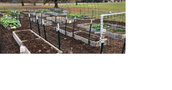 Spring will see return of Cultivating Care Donation Garden - Vimarsana News