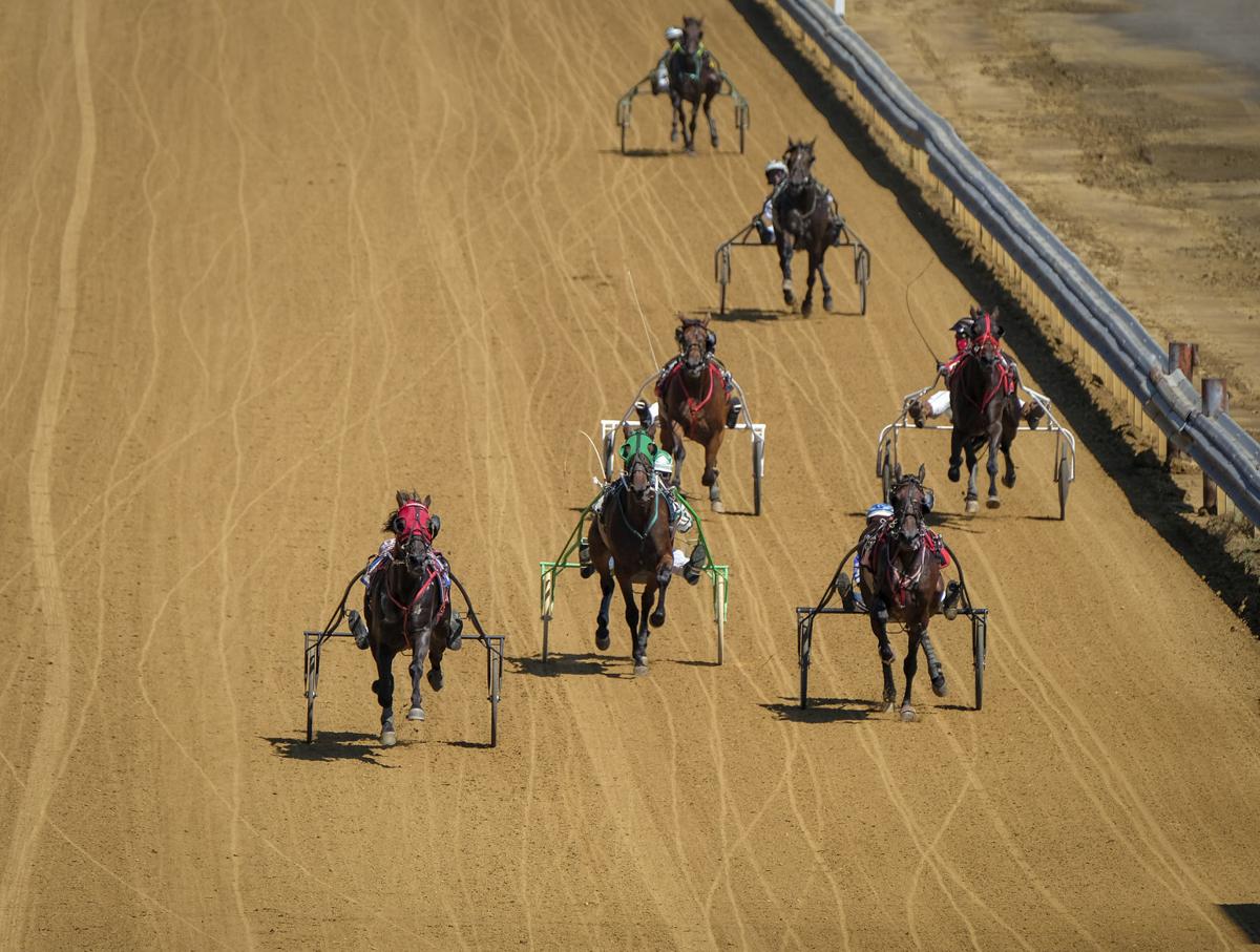 And they’re off! Horses run the Magic Mile at Du Quoin State Fair Du