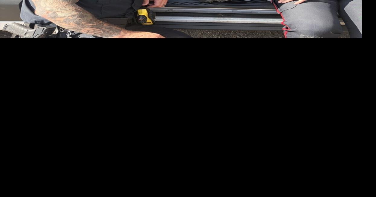 Hamilton police rescue puppies on the Red Hill