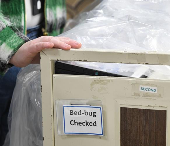 Bed bugs are all over Hamilton but where remains a mystery