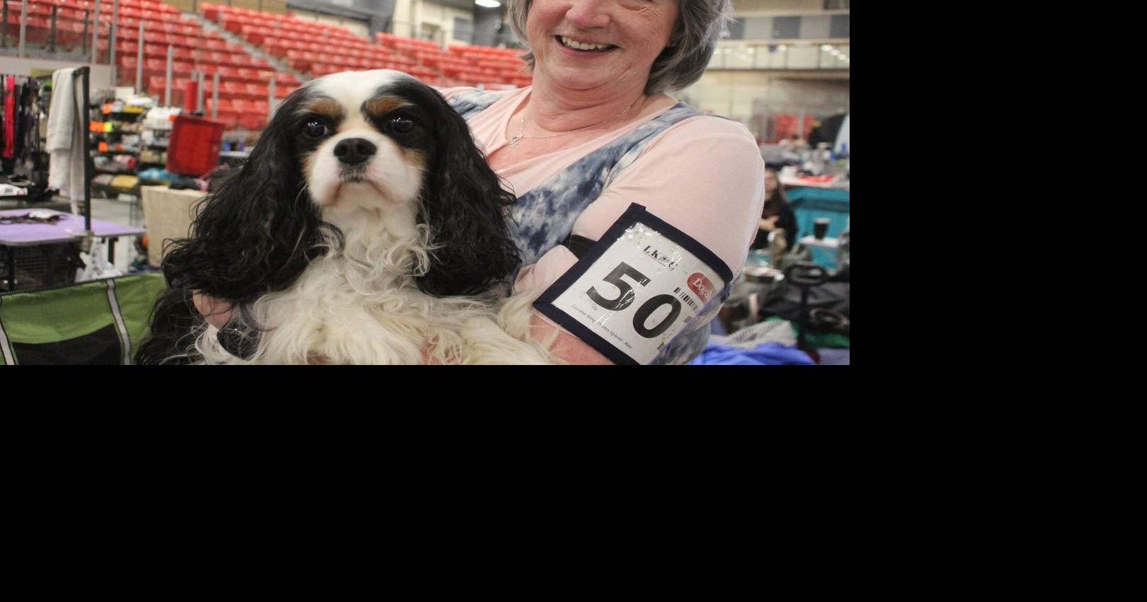 All-breed dog show brings hundreds of dogs and handlers to Cold Lake