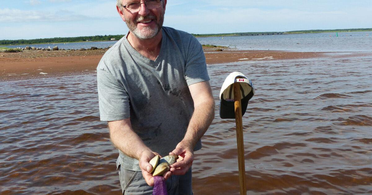 How to go shellfish foraging in P.E.I.