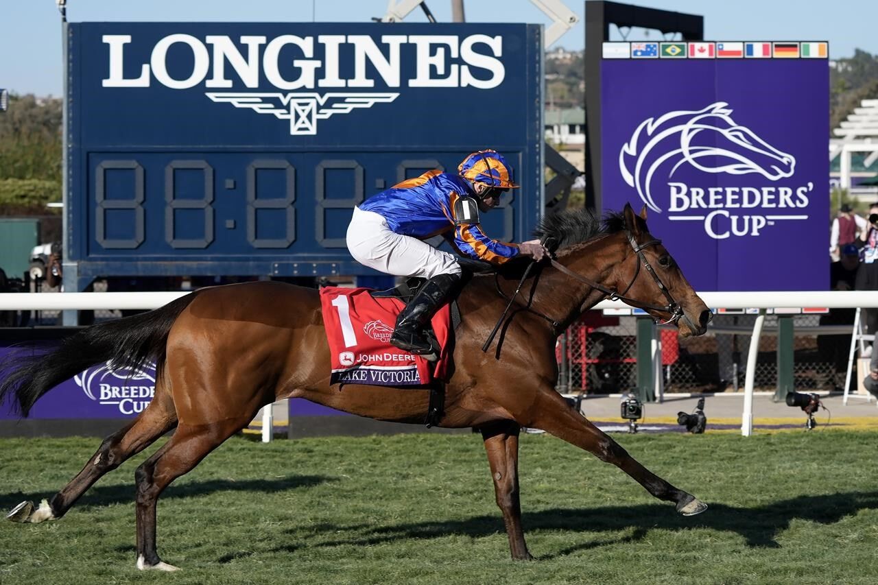 Trainer Bob Baffert's Horses Finish 1-2 In $2 Million Juvenile In ...