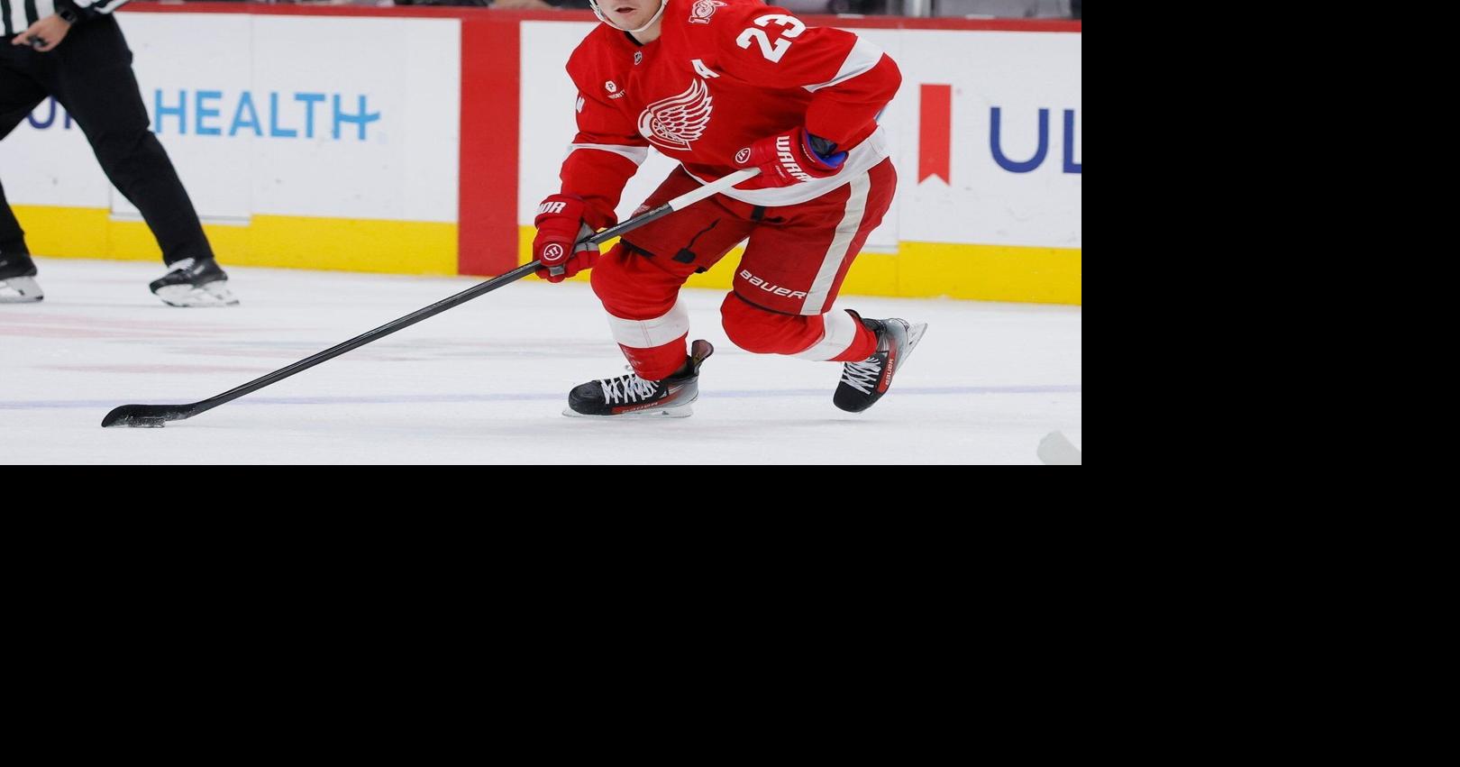 Raymond scores tiebreaking goal in 3rd period as Red Wings beat Rangers 2-1
