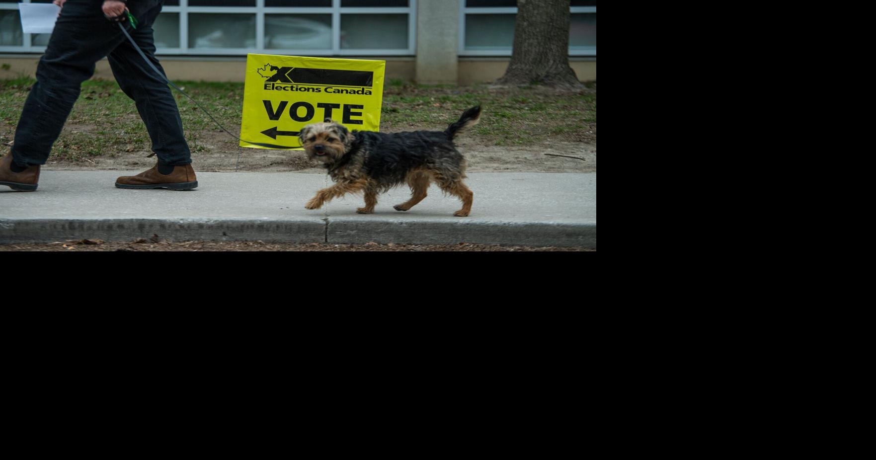 The federal election is here, Hamilton