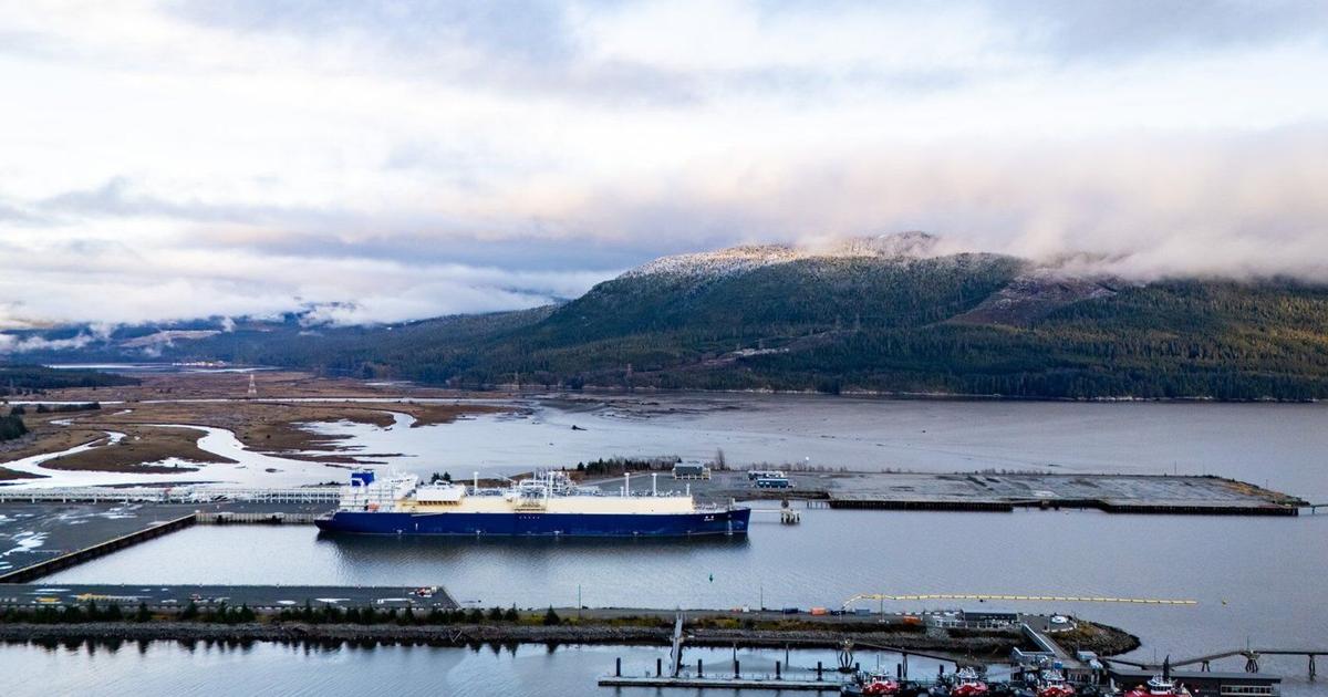 Report details flaring equipment problems, emissions exceedances at LNG ...