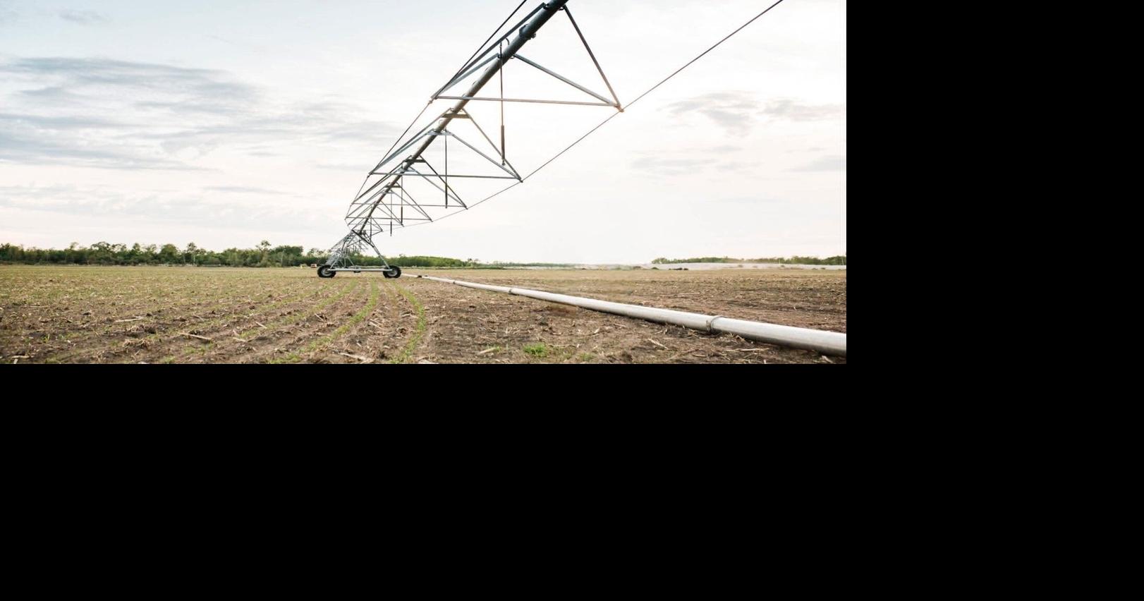 Verwey Farms and others targeted by copper wire vandals