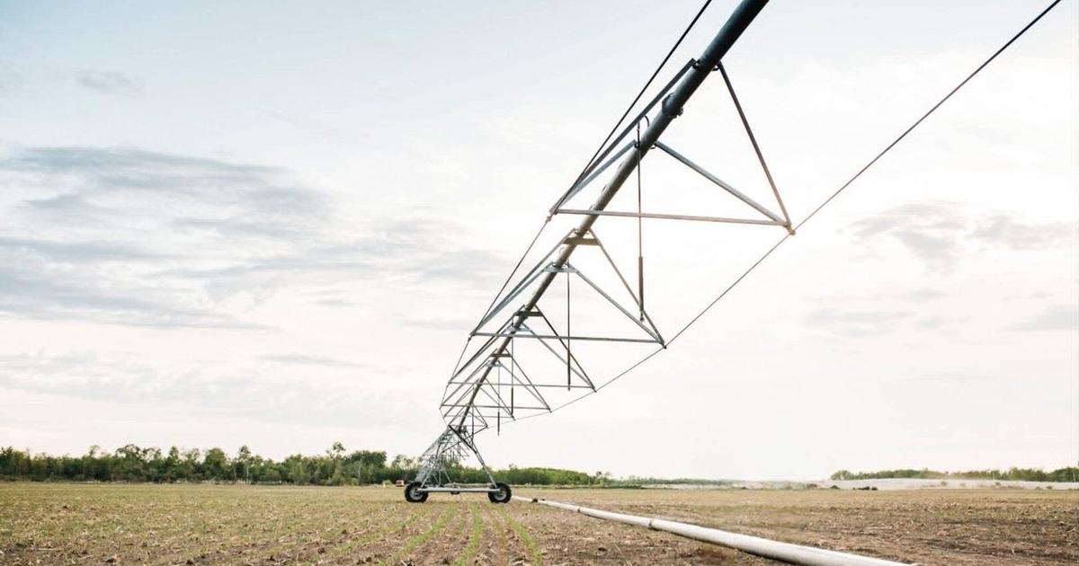 Verwey Farms and others targeted by copper wire vandals