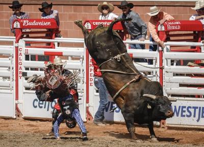 668c41ead90d8.image.jpg?resize=400,289