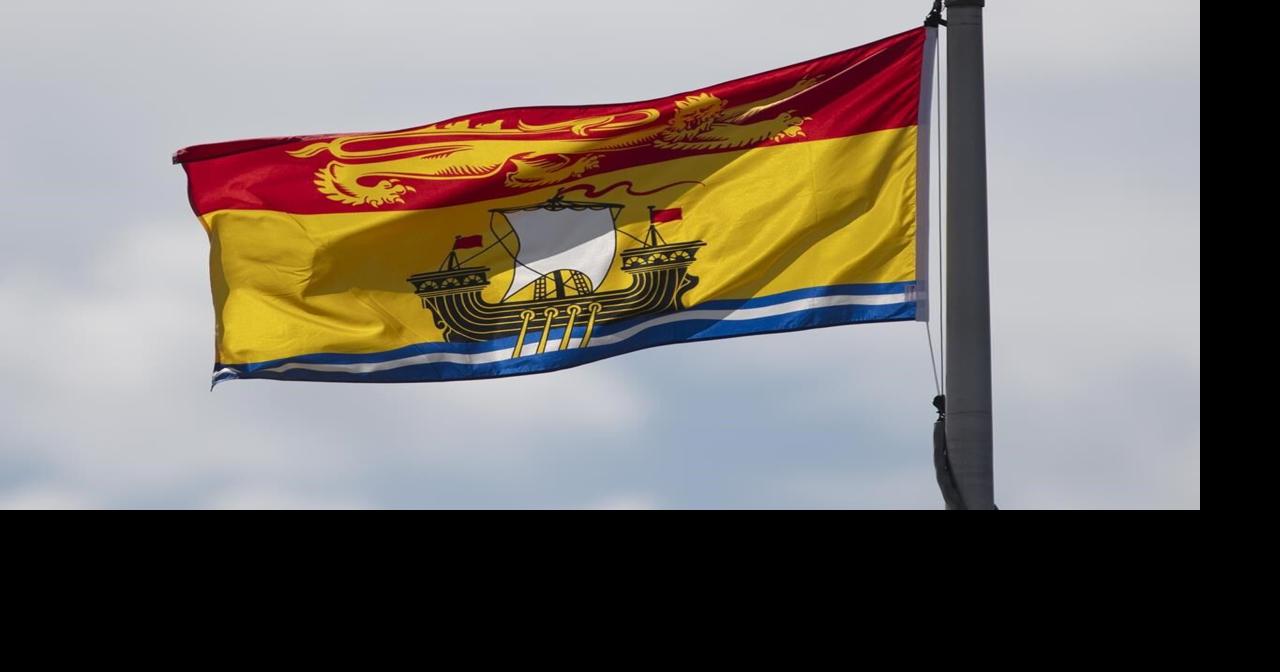 New Brunswick virtual health-care service violating Official Languages Act: report