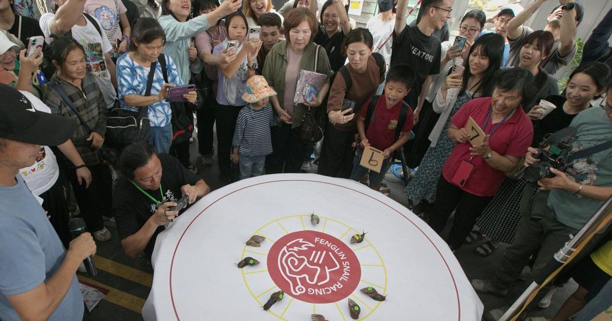 A Taiwanese town embraces a slow pace of life through a snail race