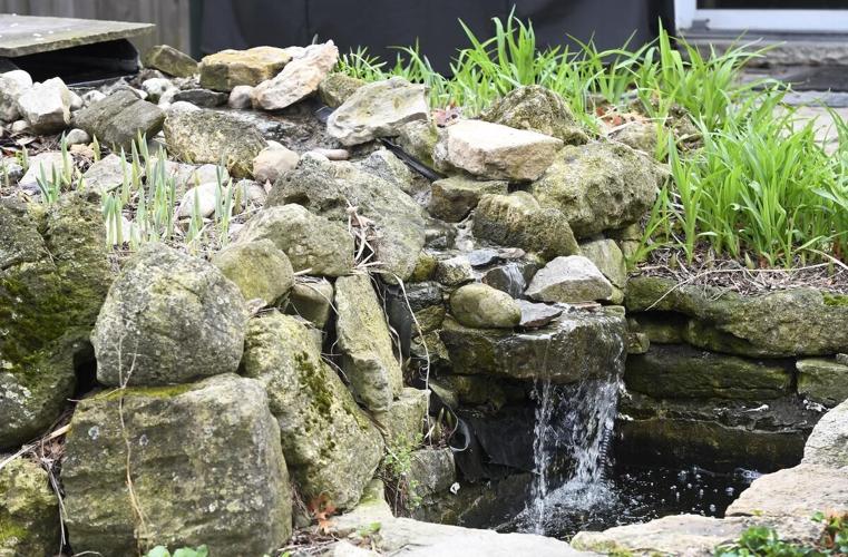 When is a garden more than a garden? When it is a habitat