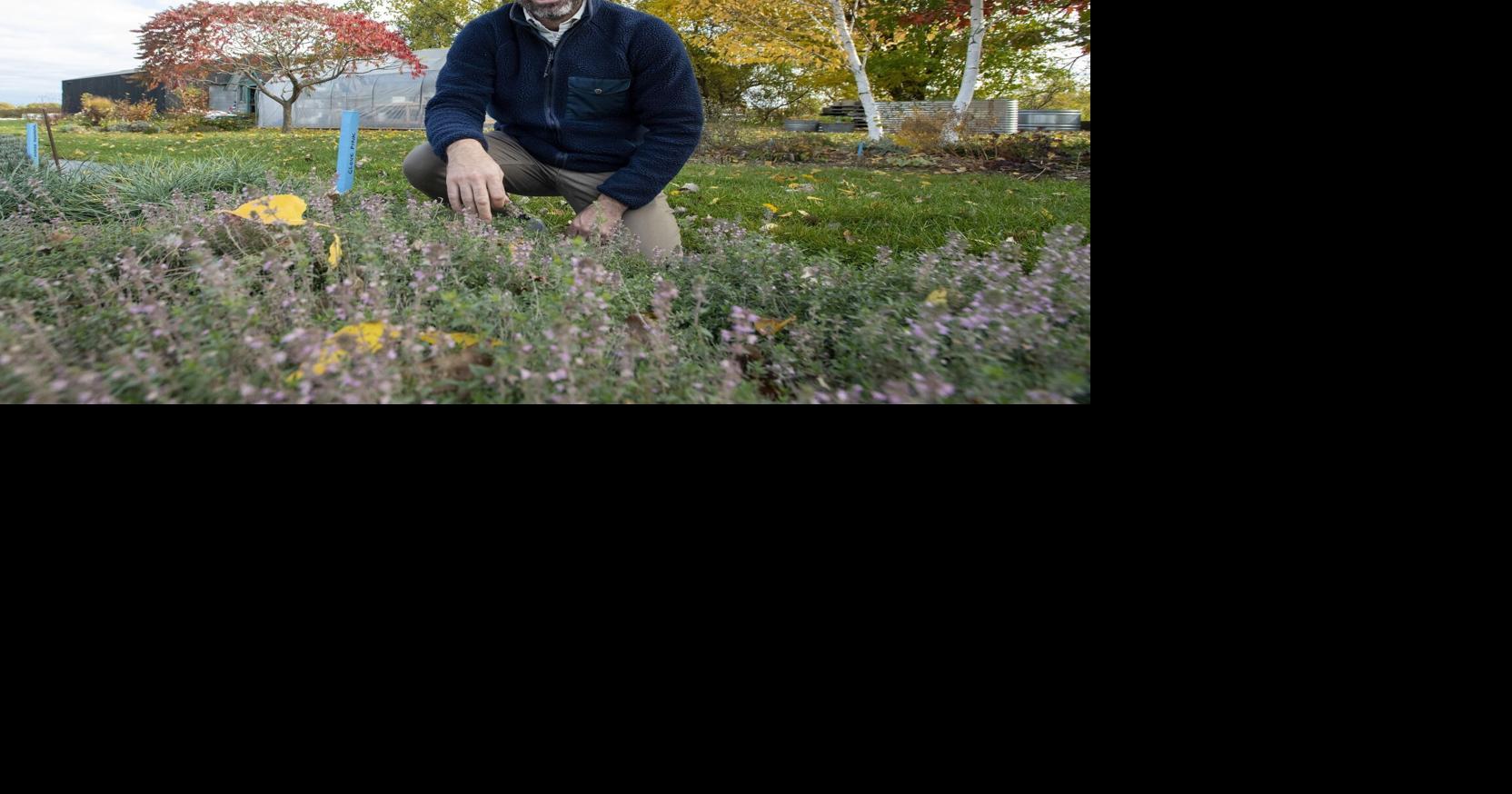 Eric Robertson has cooked and dined around the world. Here’s where he eats in Hamilton.