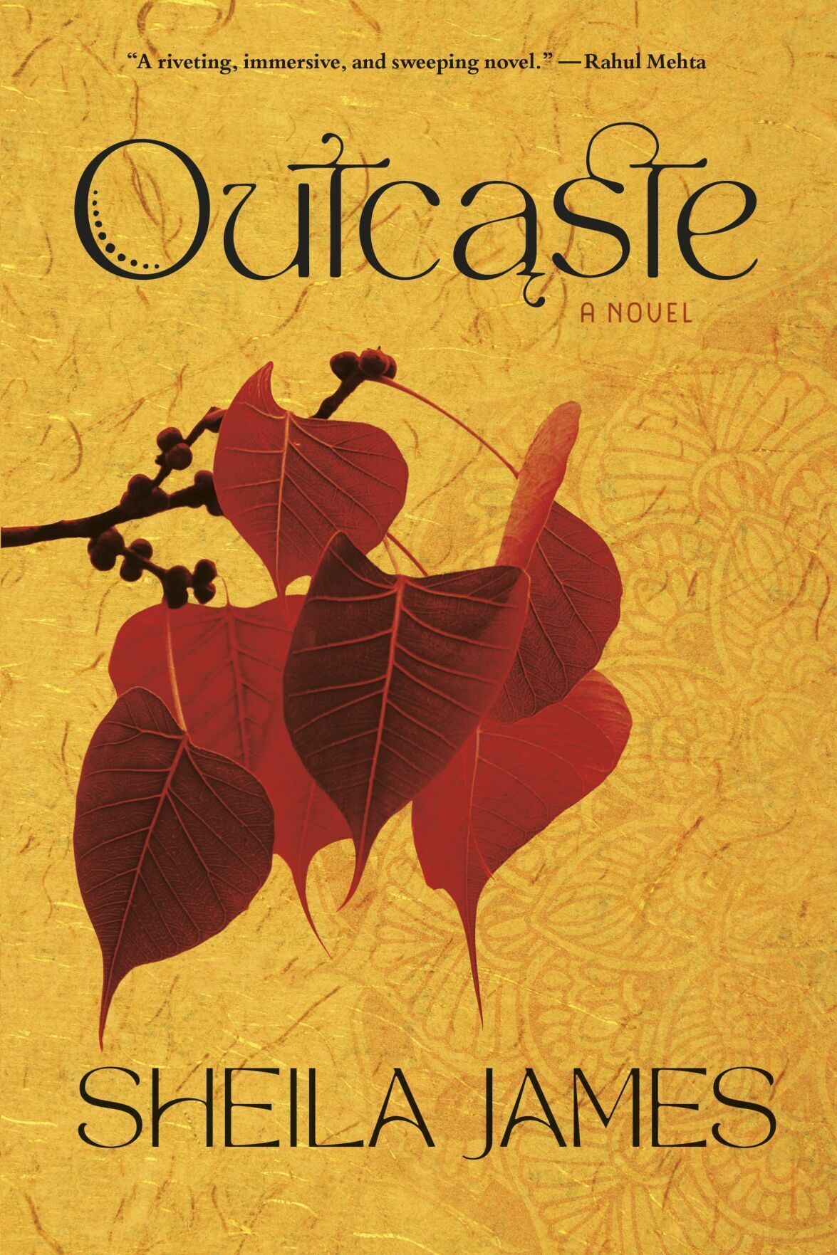 Outcaste cover.JPG