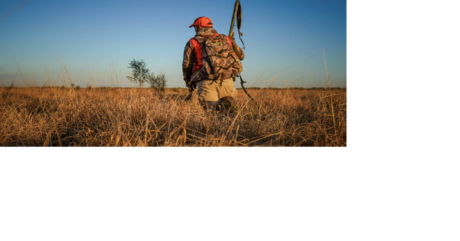 Study finds licensed hunting linked to stable wildlife populations