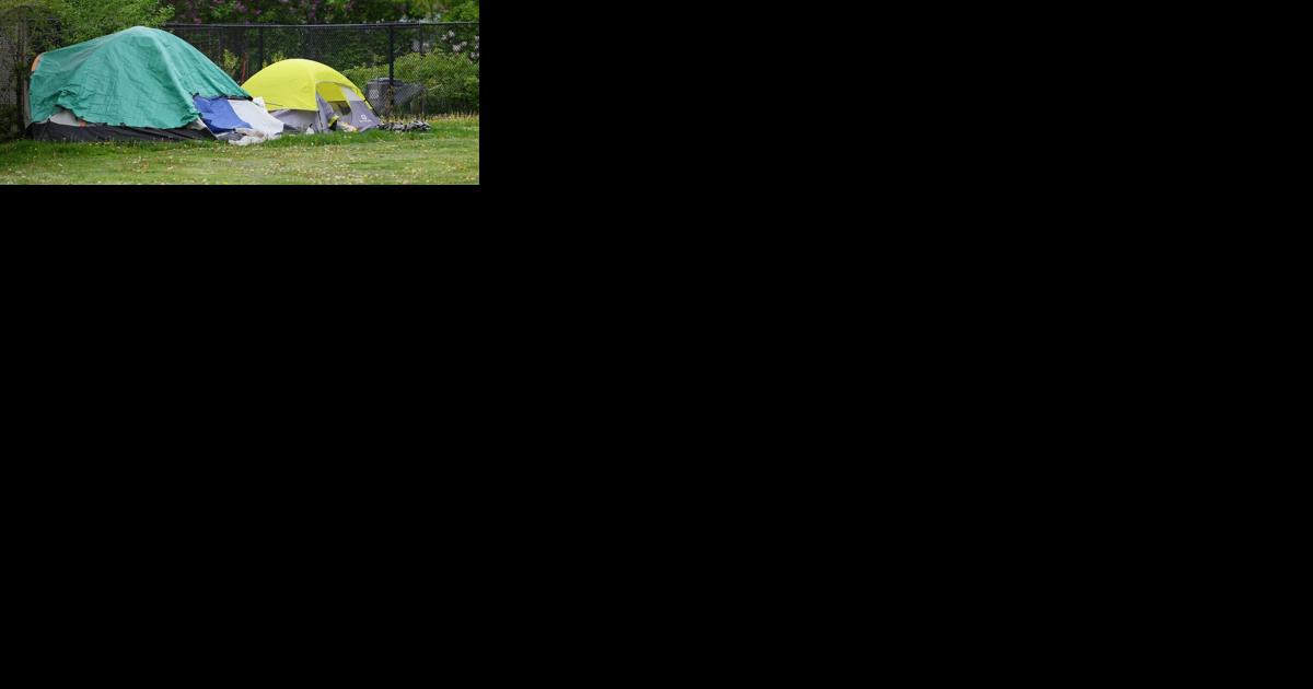 Hamilton loses battle over witnesses in encampment challenge - Vimarsana News