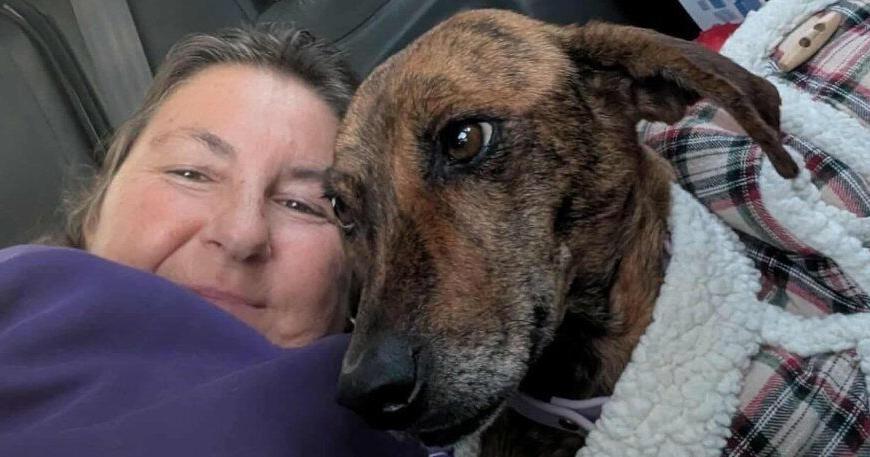 A week of Hamilton kindness: A sick pup with a big heart finds home and people to love at Triple C Farm
