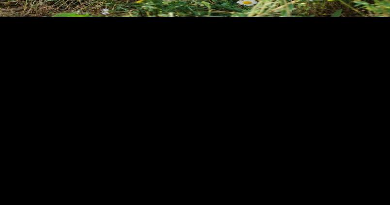 This entrepreneur’s inspo? A shampoo good enough for her cockapoo