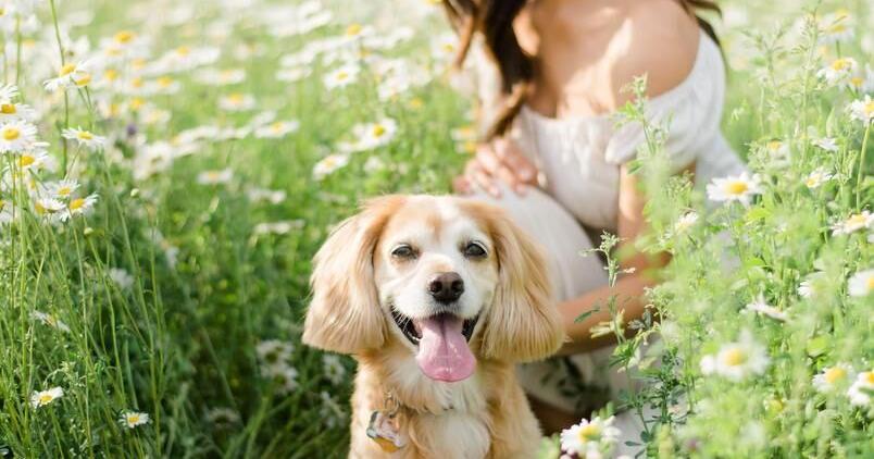 This entrepreneur’s inspo? A shampoo good enough for her cockapoo