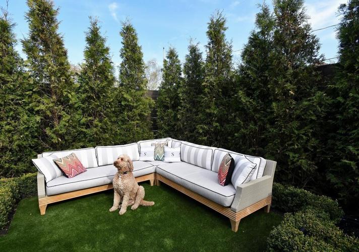 This Westdale garden is exploding with colour and plant passion