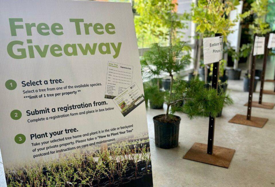 Tropical Greenhouse at Gage Park giving away free trees for your yard