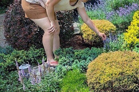 Article #02: Gardening With Purpose: Ilona Feldmann Has Her Priorities — And Wildlife Comes First