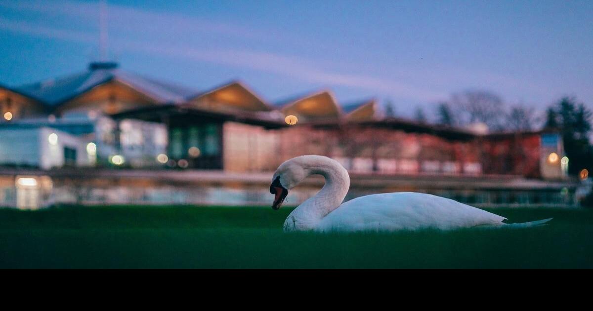 The seasons, they go round and round at Stratford Festival