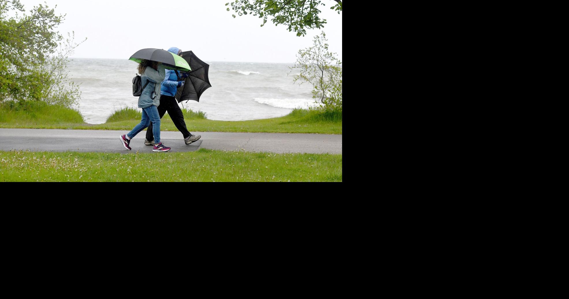 Hamilton weather today