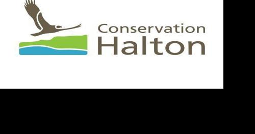 Halton residents advised to stay away from rivers, streams - Vimarsana News