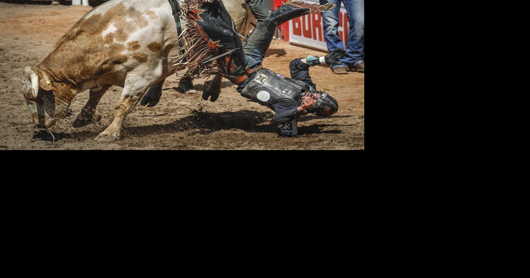 Professional bull-riding cup to buck its way into Hamilton