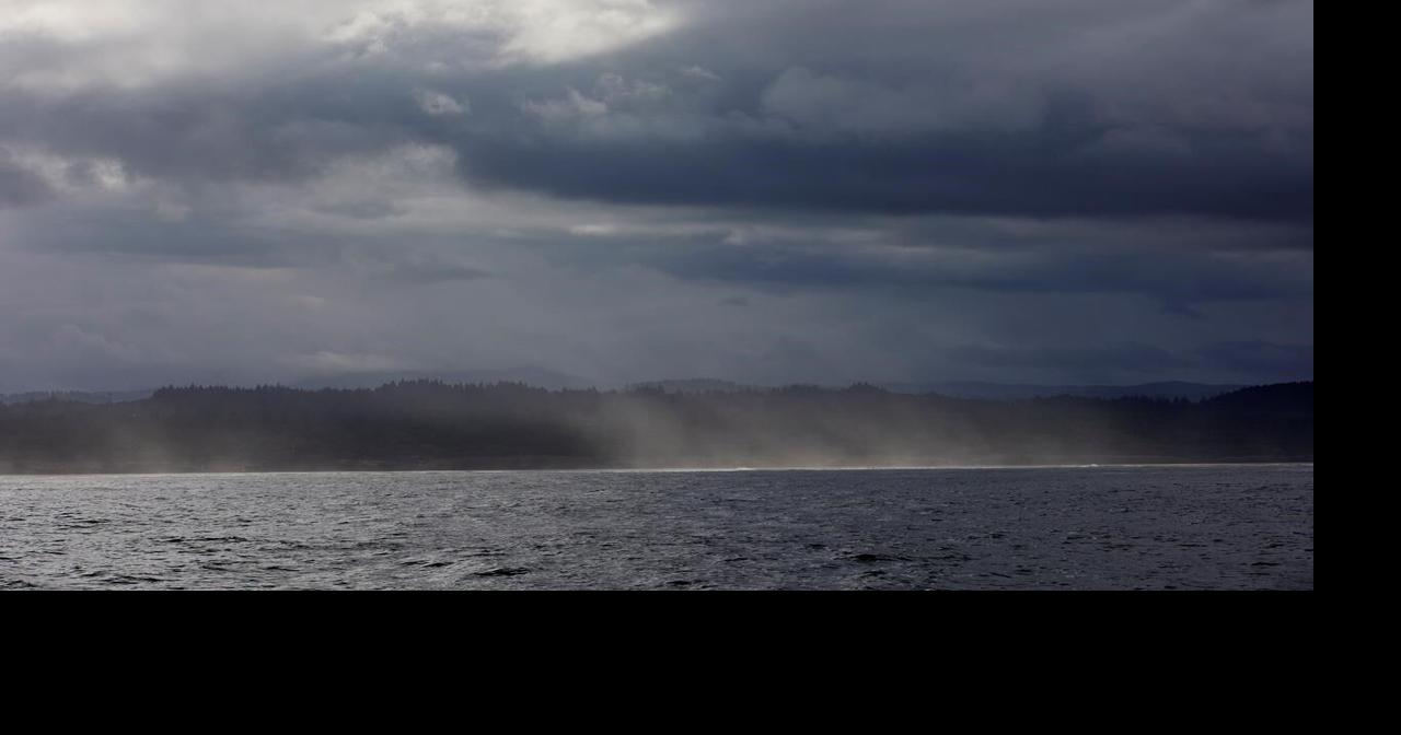 Companies back away from Oregon floating offshore wind project as